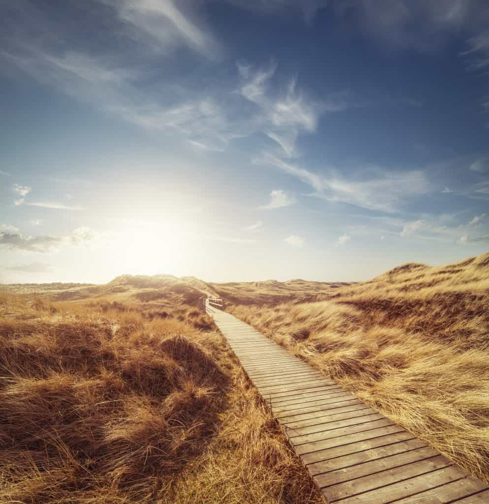 Viveda, Ayurveda, Yoga, Consultaation, Relax, Ottawa